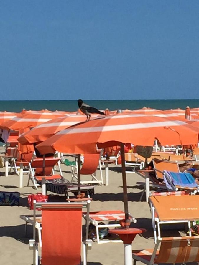 Verde Mare "Appartamenti Per Vacanze" Tortoreto Екстер'єр фото